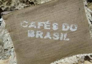 pochette buffle de dos