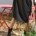 Boots santiags noires